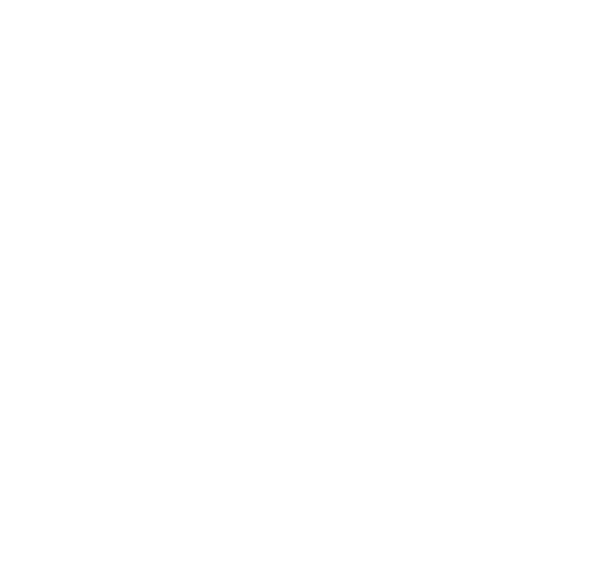 Animasyon logo